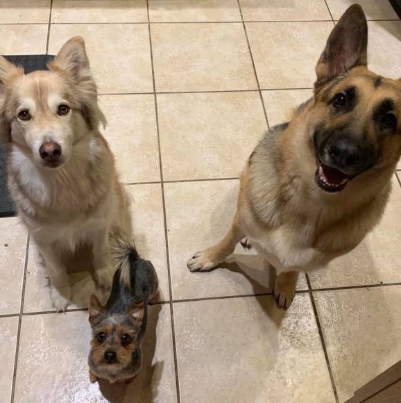 Meet your Posher, Shaylyn - Picture 1 of 1